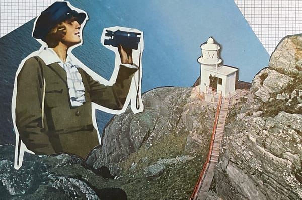 Which news sites are surviving the death of Google optimisation?