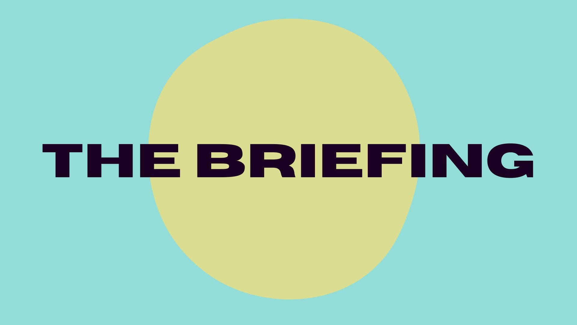 The Briefing